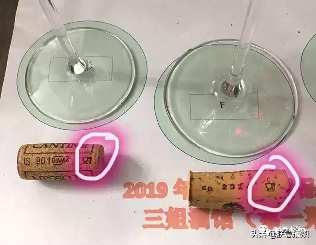 “无人酒馆”意大利进口葡萄酒品酒会，今天我是马老师