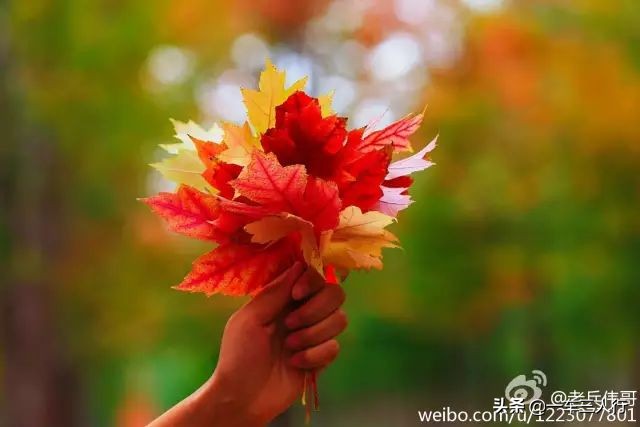 大连有一个蓝色的小城堡景点,大连秋季旅游景点攻略大全