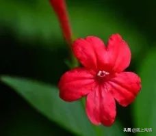 倾情托起未来的蓝天——启迪心智幼儿园的一节课