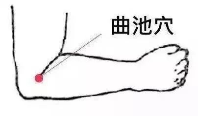 一夜春雨万物醒,一夜春雨滋润万物