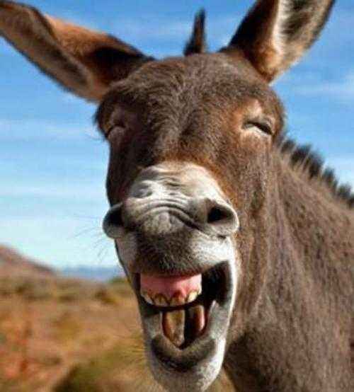 ta其实并不冰冷，反而还很懂你