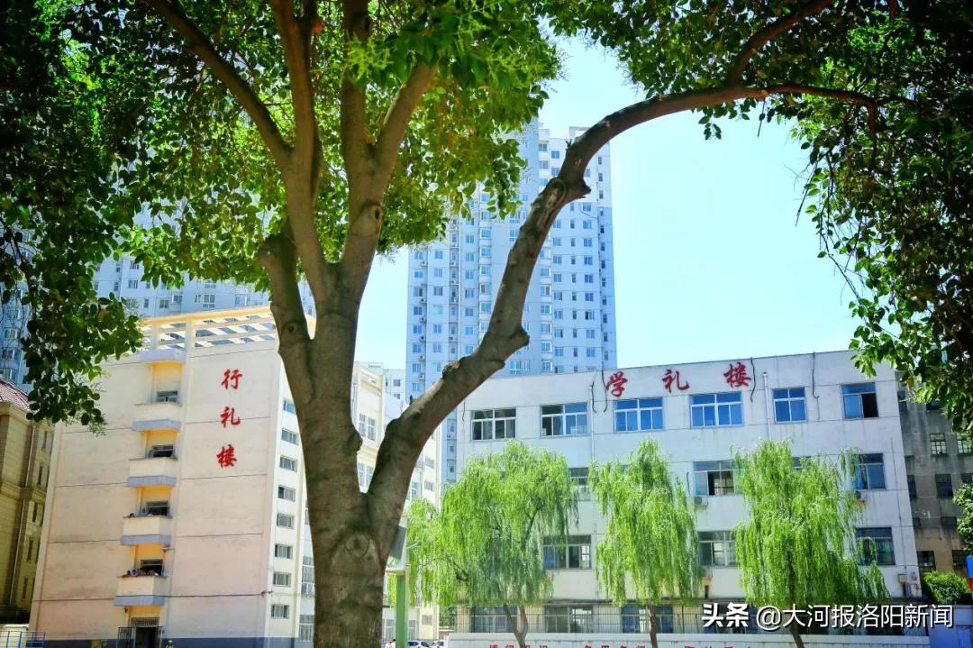 厚积薄发终破茧再创辉煌待可期——26中教师参加洛阳市优质课喜报