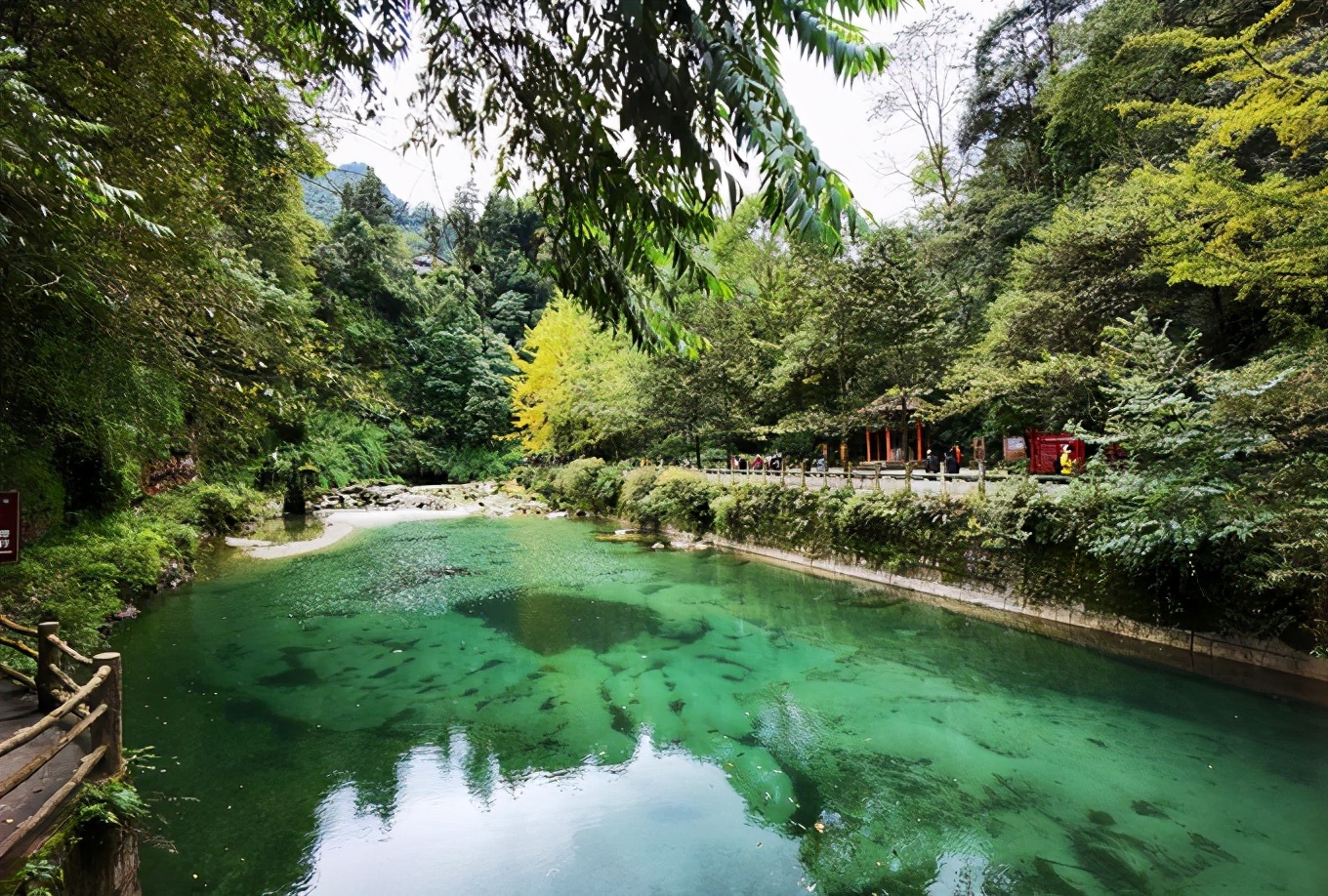 深秋峨眉风光好——「清音阁/金顶/红珠山温泉」三日行