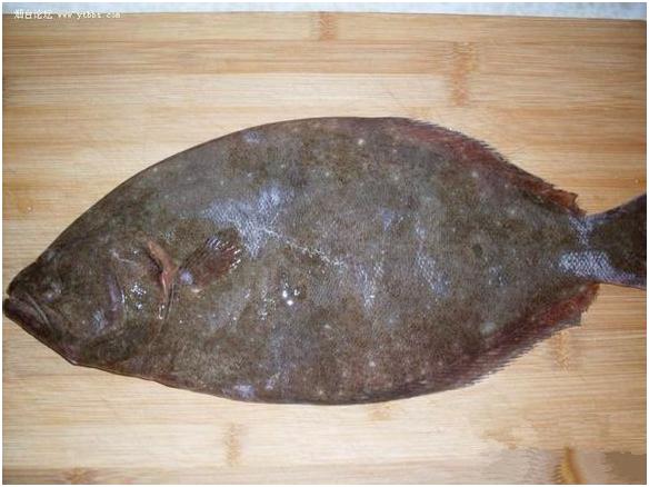 看图识海鲜，这些水产海鲜你都认识吗？