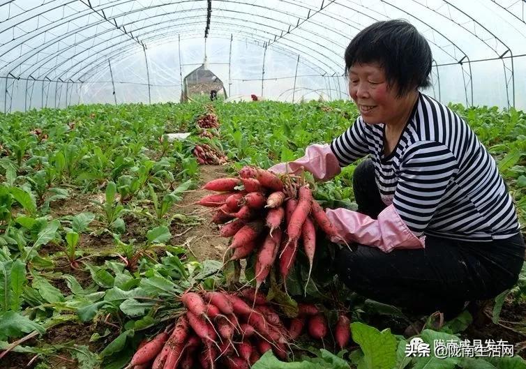 我叫成县，这是我2019年的自拍照