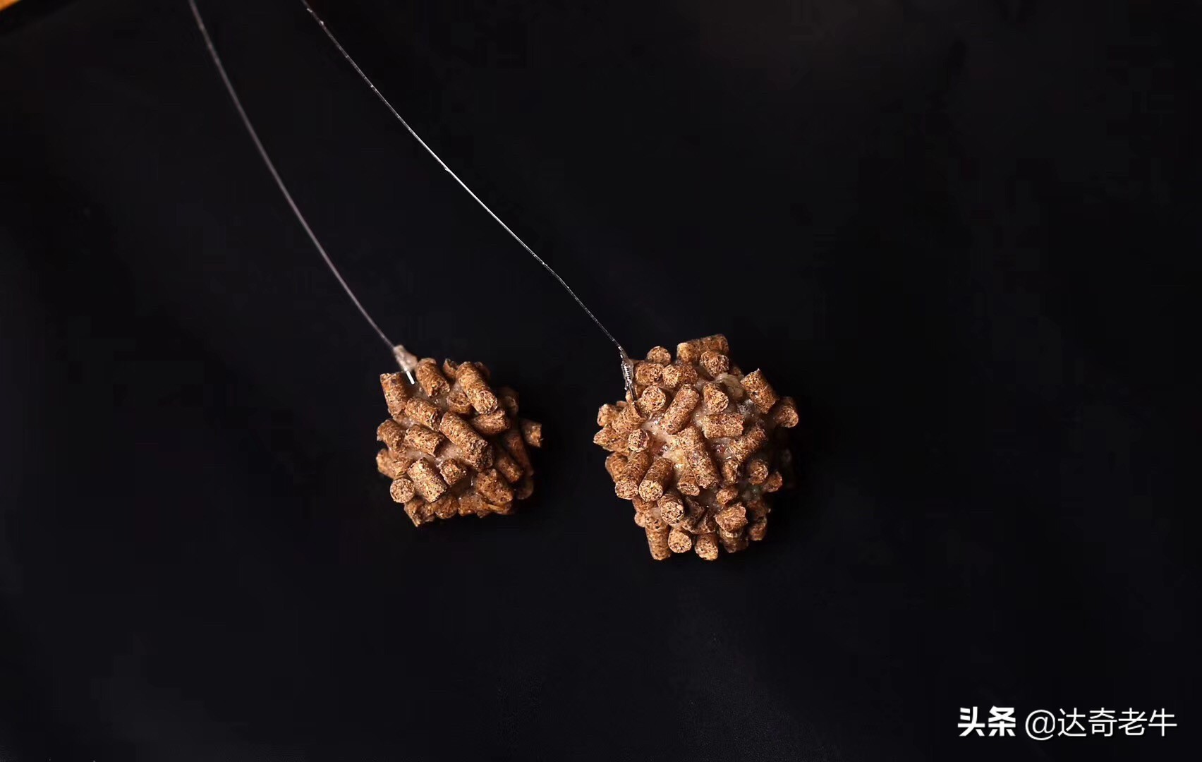 散炮饵料小黄面,散炮饵料便宜