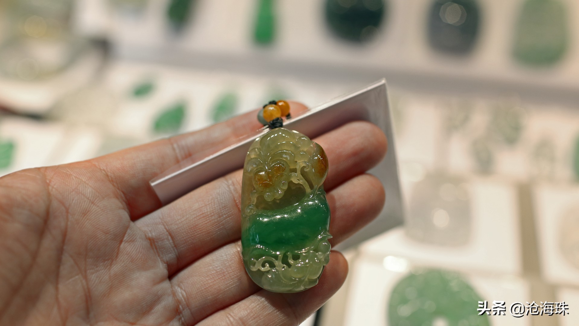 淘玉淘翡翠,带着老爸逛四会「0012期」