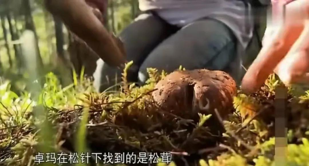 香格里拉有什么不能冒犯,香格里拉为什么神秘