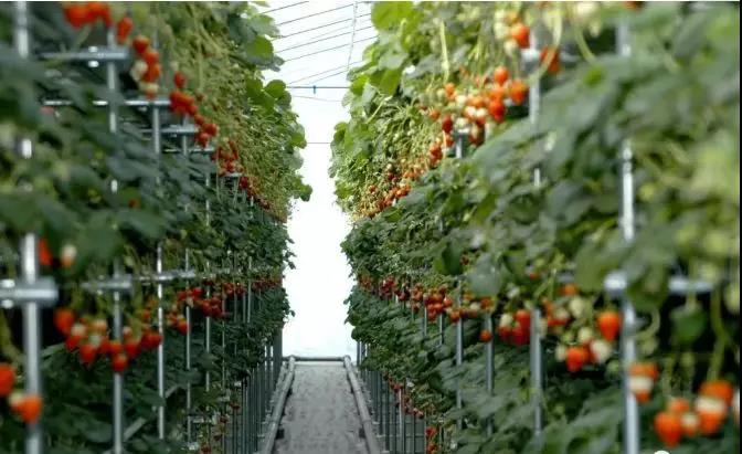 大义抗疫情,莒南县抗疫