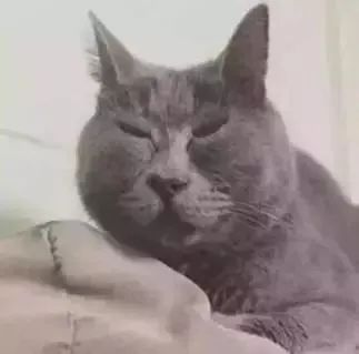 微信很实用的一款软件,微信有什么好软件