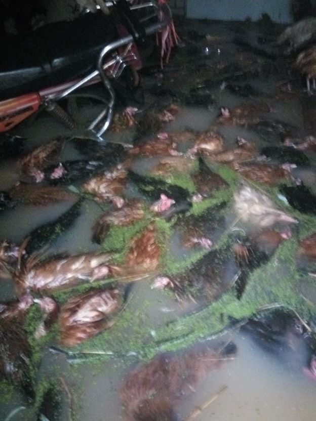 返乡创业农村生活现实记,农村生活与创业之路欢迎进来交流