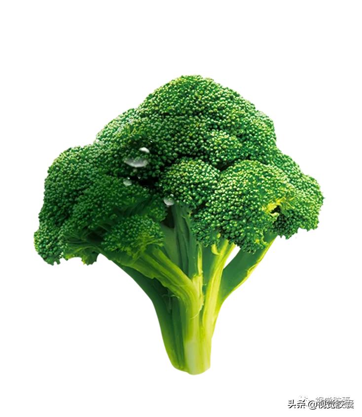 乡村蔬菜大棚的设计,蔬菜精美设计图片