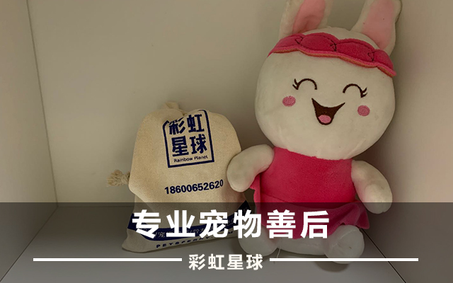 宠物殡葬的资料有哪些内容,宠物殡葬价格最新报价