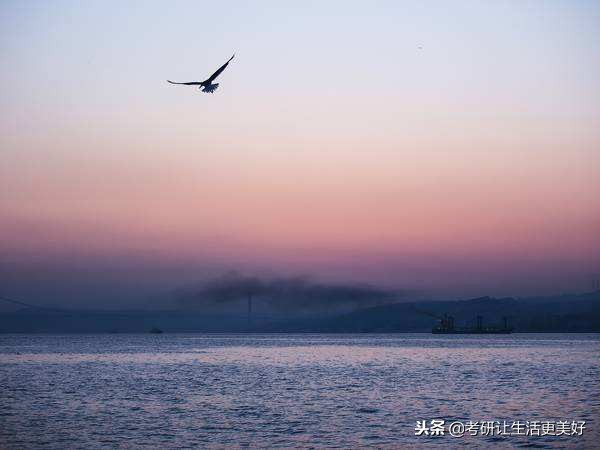 考研过来人的十大忠告,考研学姐的忠告视频