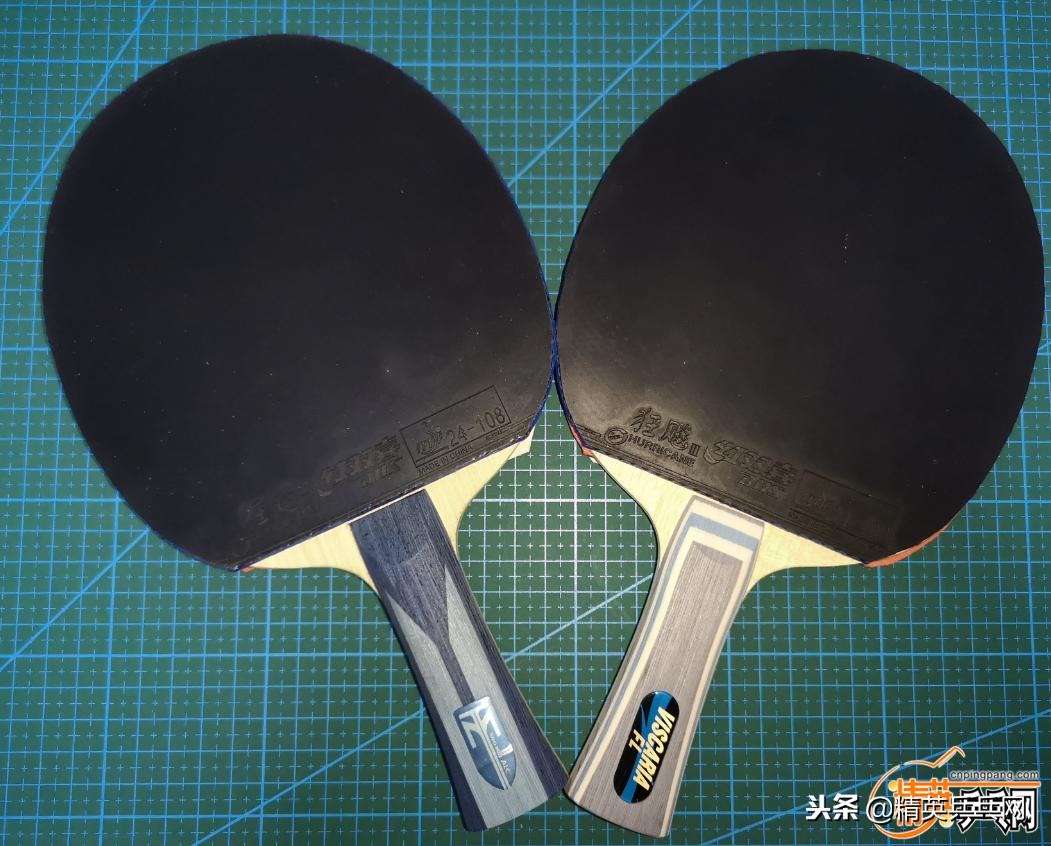 精英聊器材视频,樊振东alc和波尔alc和vis有什么区别