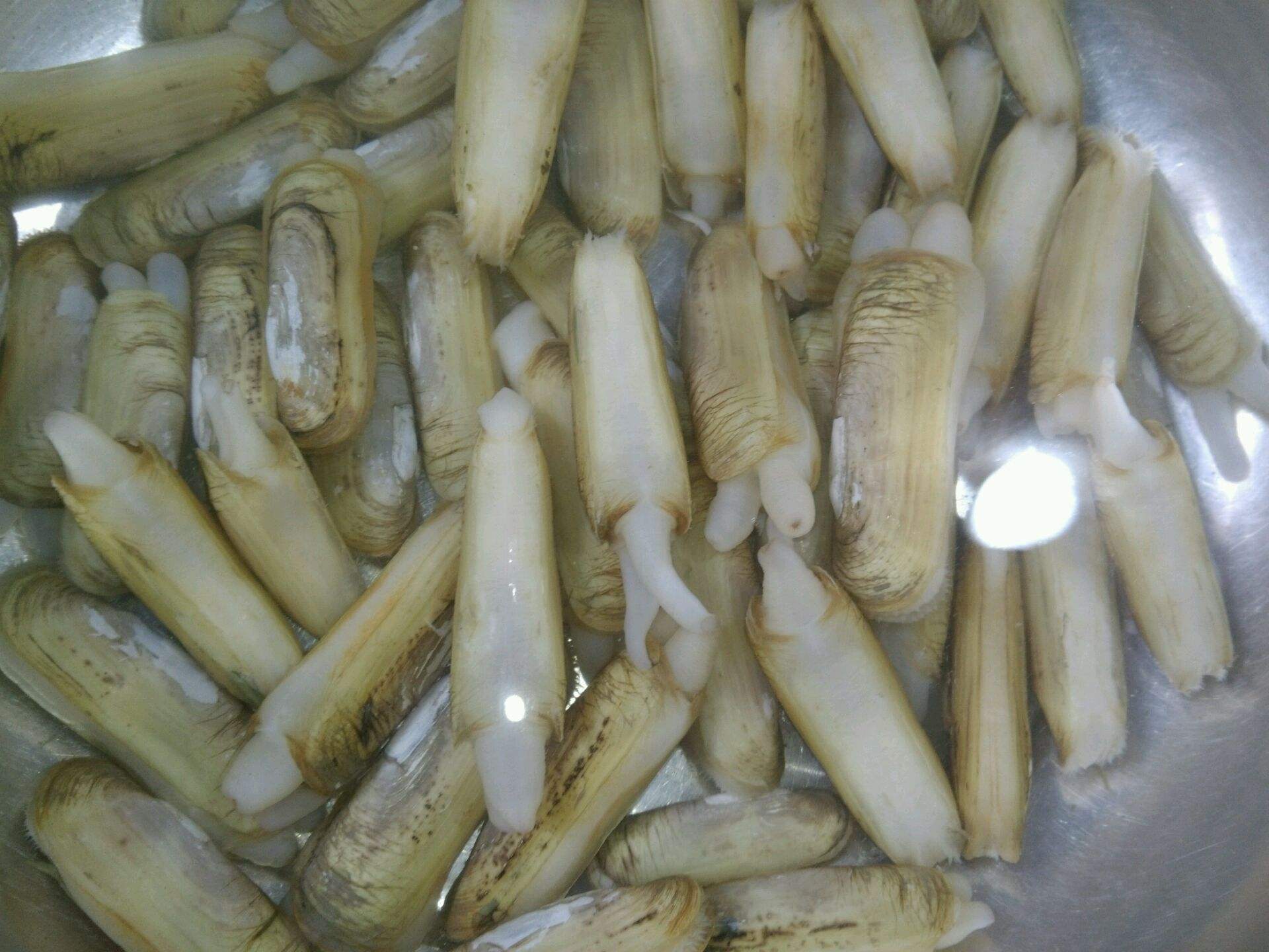 渤海湾野生海鲜图片,渤海湾海鲜为什么好