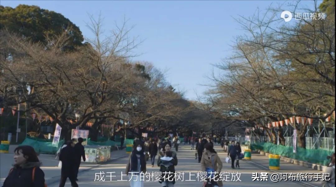 豆瓣9.1分，看过不足1500人，我却复盘了张日本最全野游图