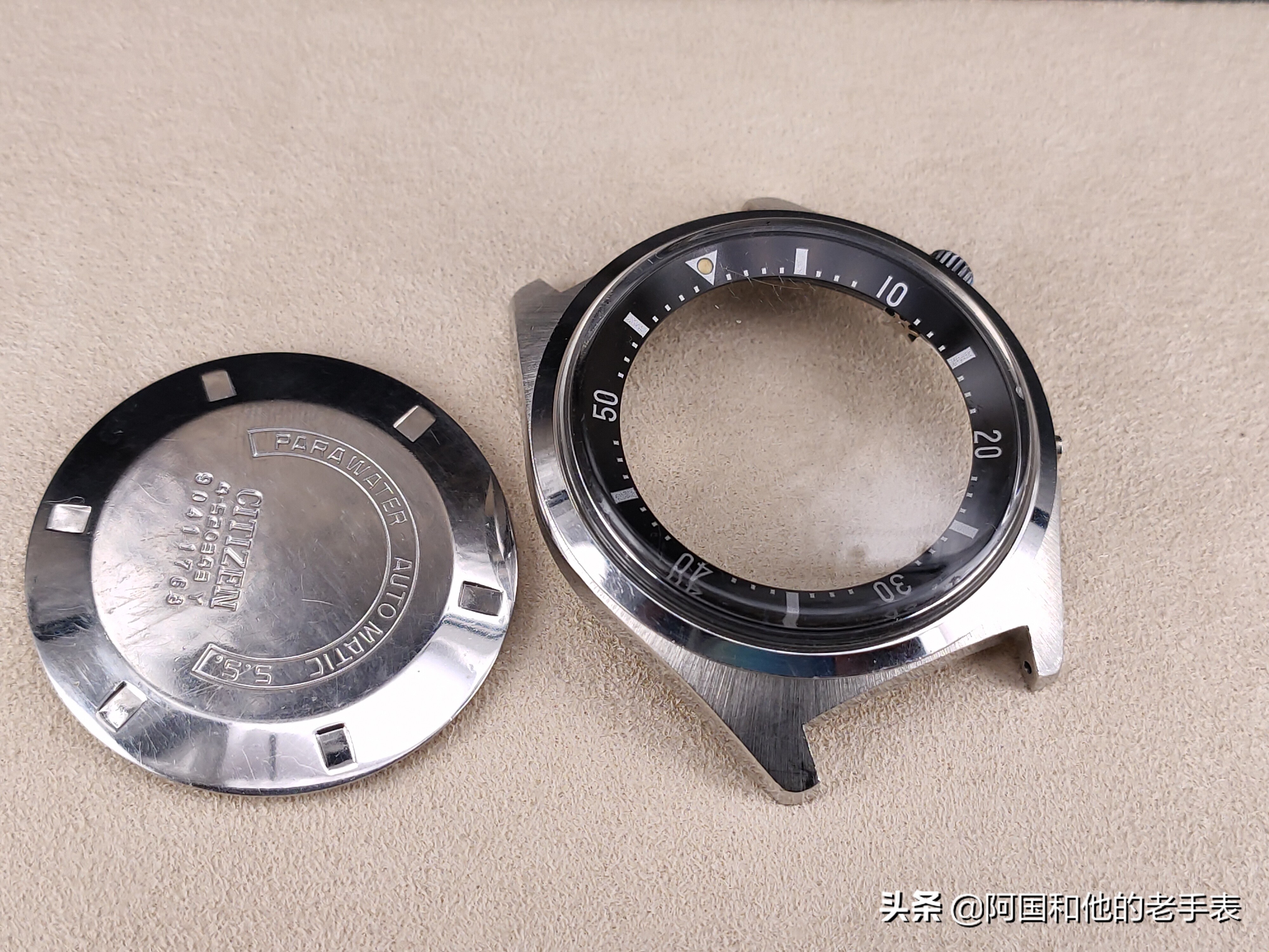 50年后的相见两只西铁城水鬼