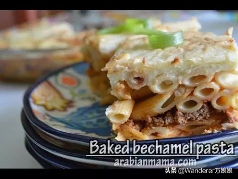 这个国家不会讲自己的母语,疯狂热爱养猫,猫死还要守孝你知道吗