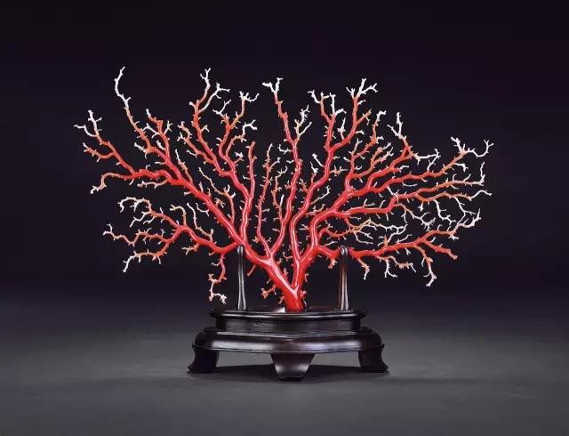 珊瑚越戴越红越好吗,戴珊瑚需要注意什么