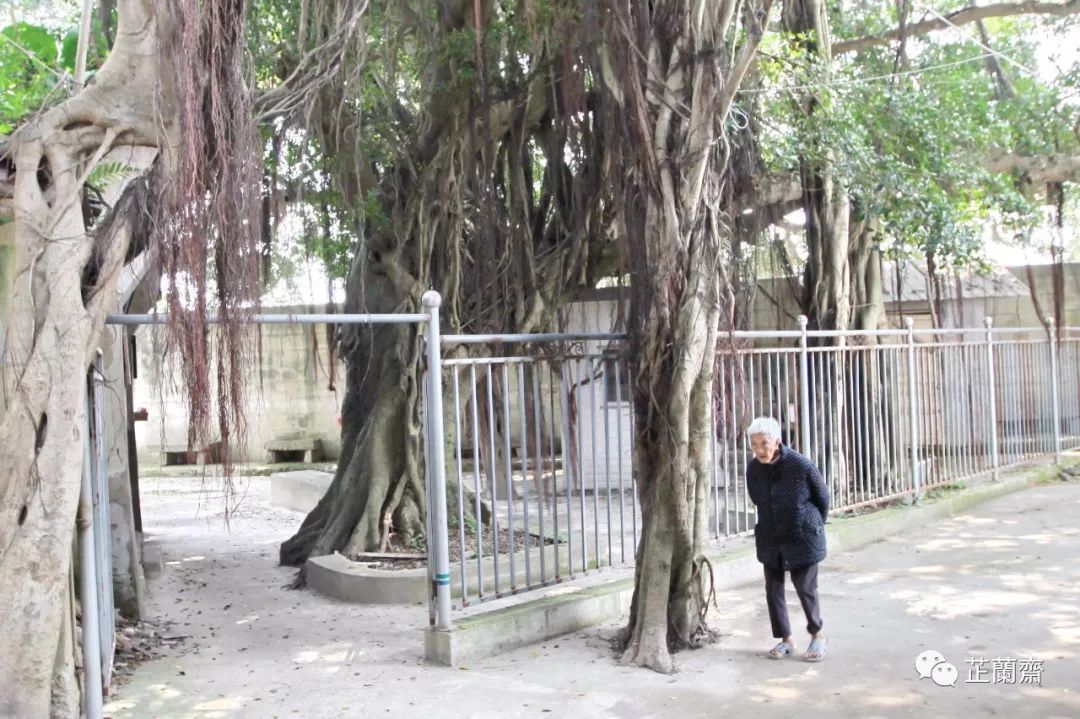 福建仓山观澜书院,福建省观澜书院