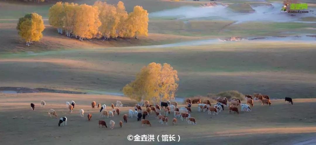 北京风景游玩区,北京郊区最美景点旅游攻略