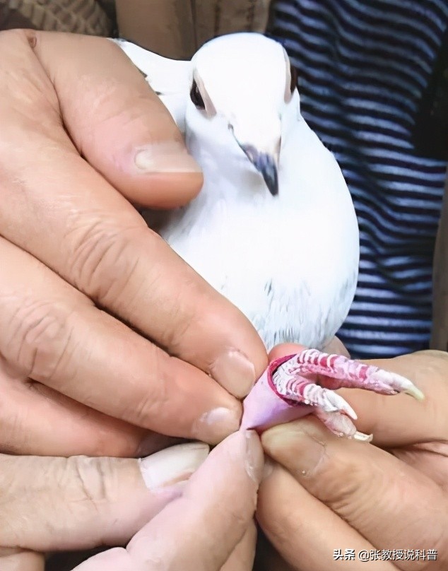 世界首颗量子卫星：中国墨子号！赶在欧美之前，有哪些意义？