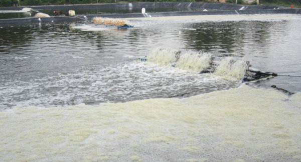 水产养殖水质老化怎么办,养殖水质的管理技术