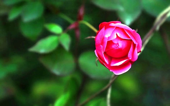 人生经典句子句句正能量走心励志,走心励志短句激励人心正能量文案