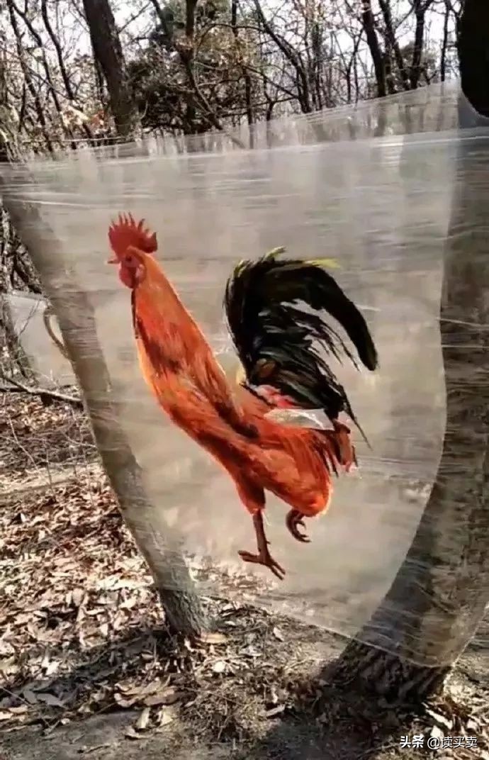 怎么样判断一个男生直不直男,怎么判断一个男的直不直男