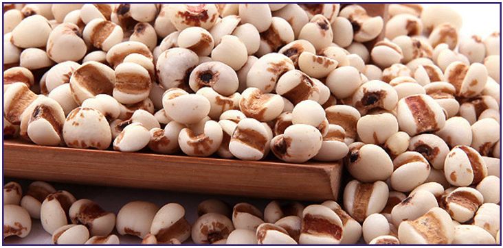 naturie薏仁水是日本产的,naturie薏仁水效果