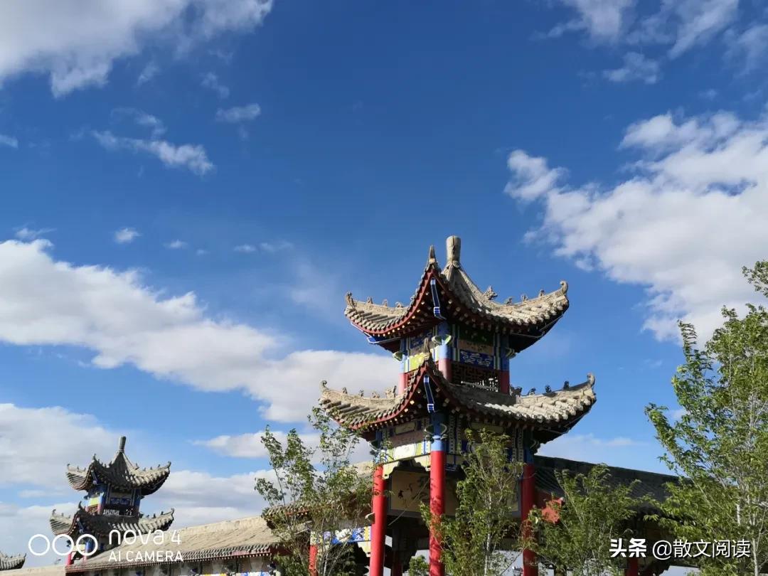 用手机看散文,散文手机