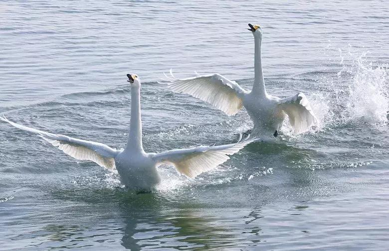 中国最具幸福感县级市江浙,中国最具幸福感县级市名单