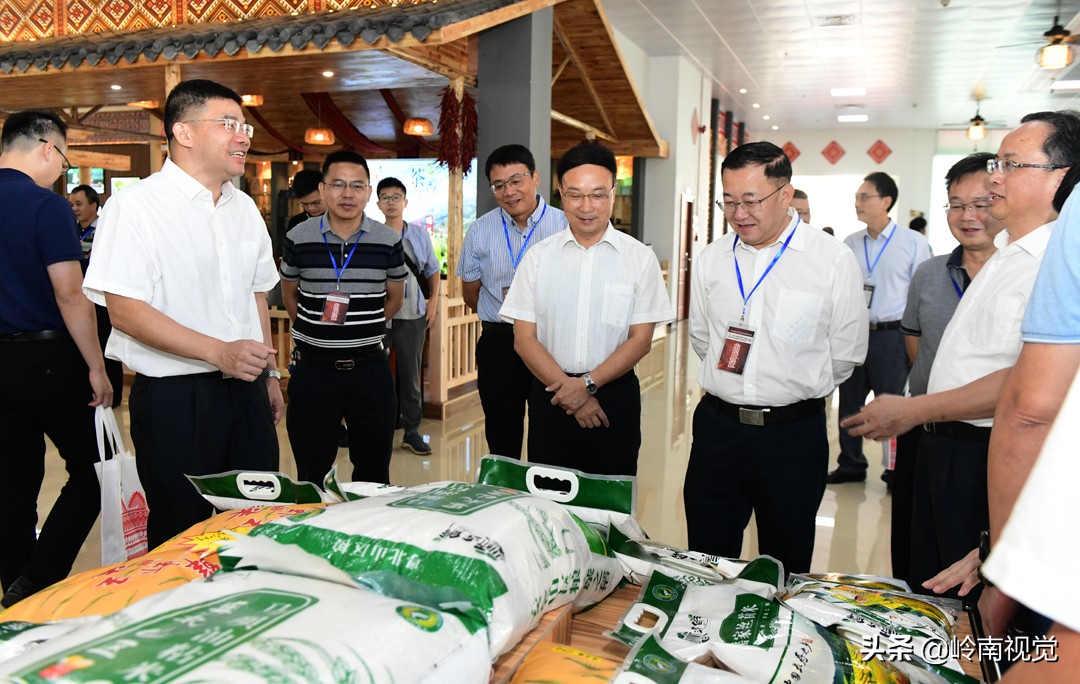 连南稻田鱼节效应显现,连南稻田鱼节开幕