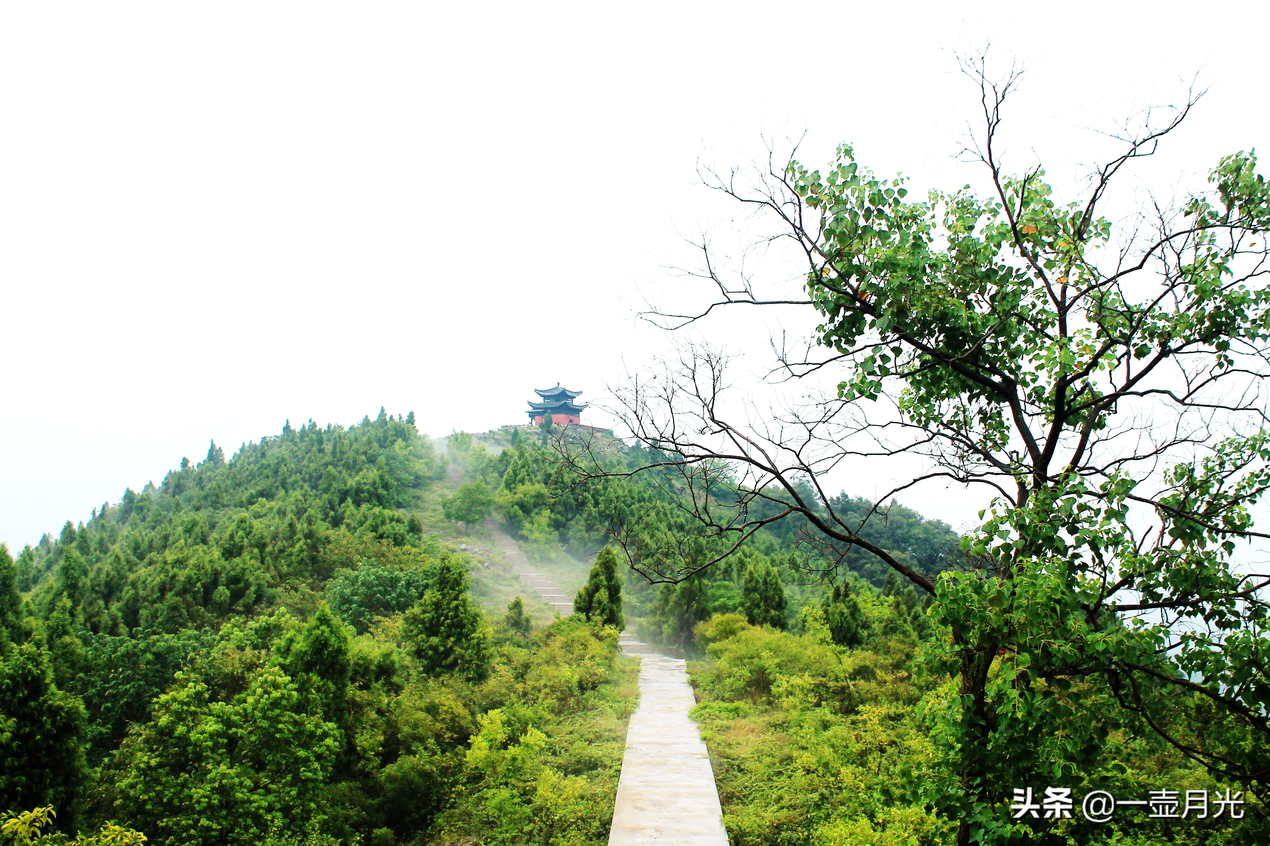 古诗词经典床前明月光名句,床前明月光唐诗300首朗读版