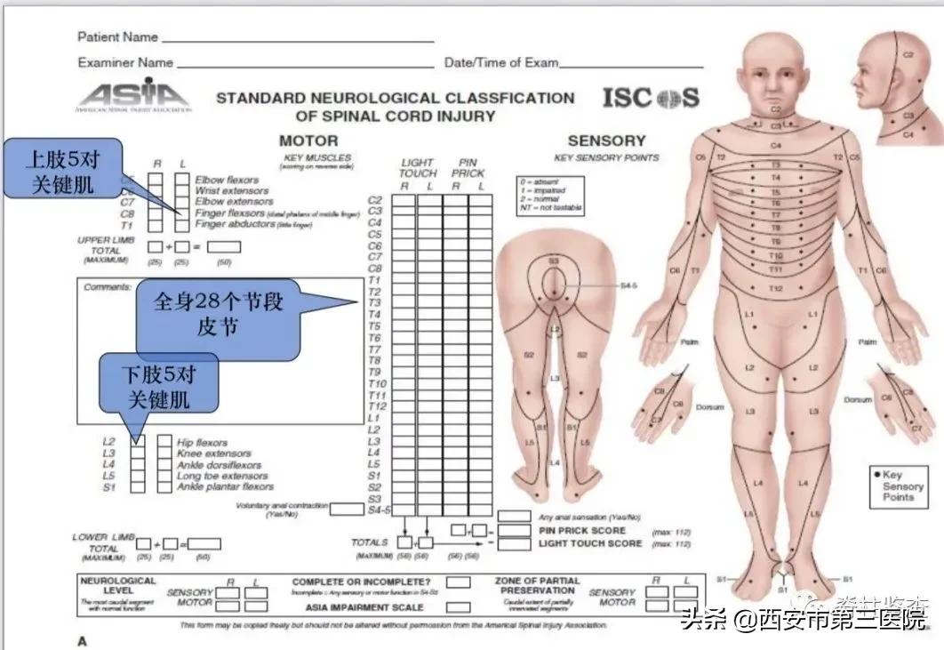 颈椎病减压手术安全么,手术脊髓减压