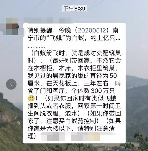 大量飞蚁进屋注意事项,广西人看到飞蚁有多兴奋