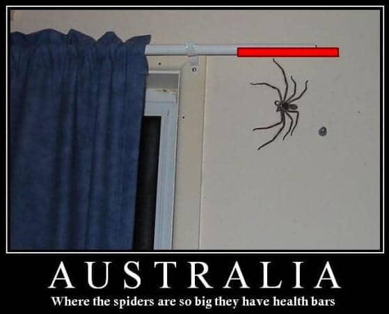 南方蟑螂和北方蟑螂对比恶搞,南方大蟑螂吓哭北方人