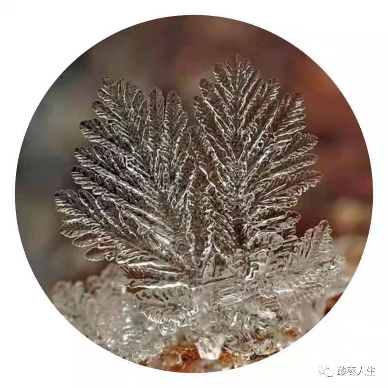 《散文美刊》「霜花中的梦想」|王德明（诵读：丁丁）