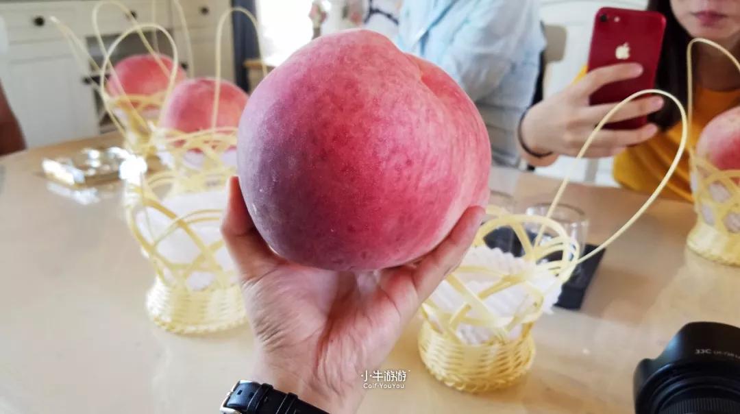 小牛游记2019,小牛骑行之旅