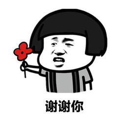 郑州是一座让人变坚强的城市,郑州这个温暖的城市