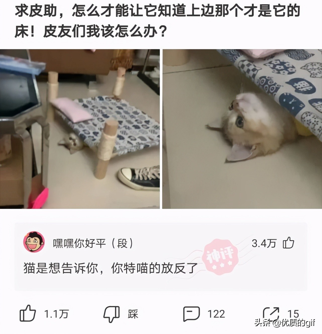 神回复：不小心进了个群，我应该取什么名字，才震得住场面？