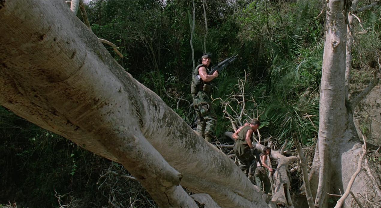 铁血战士系列解析,铁血战士形态全部解析