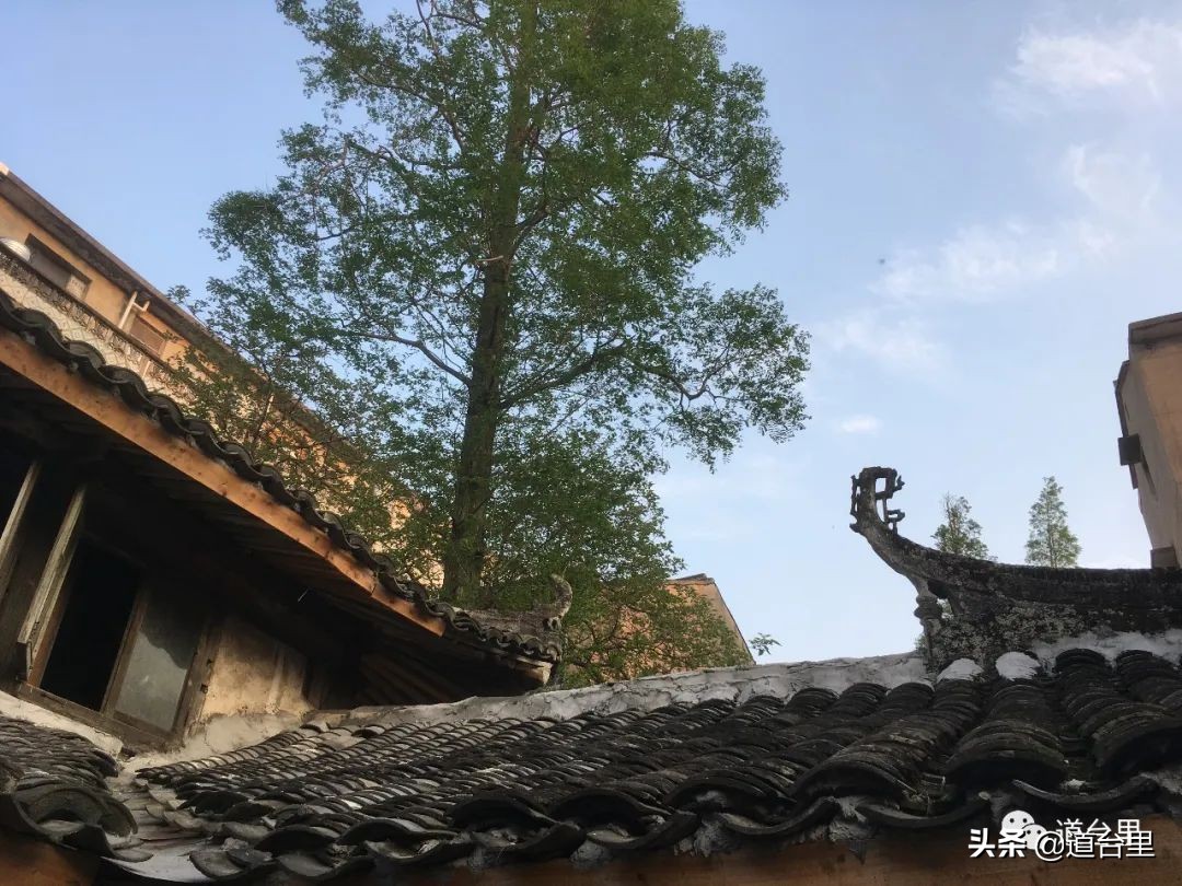 洪家楼老照片,洪家楼旧照