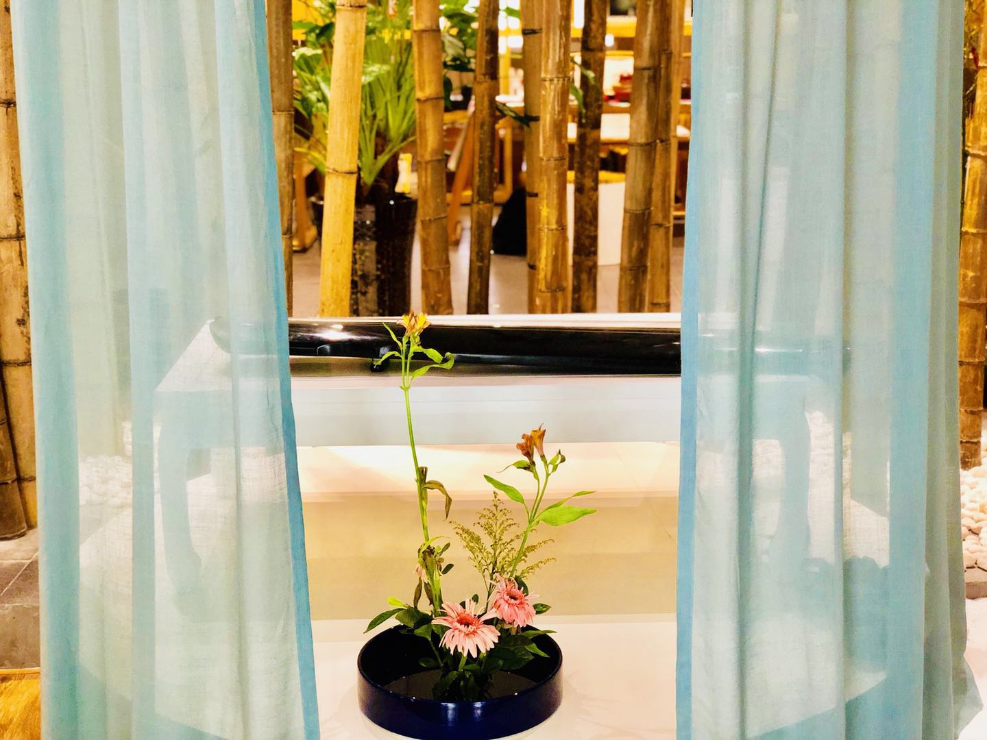 石家庄瑞池女社怎么样