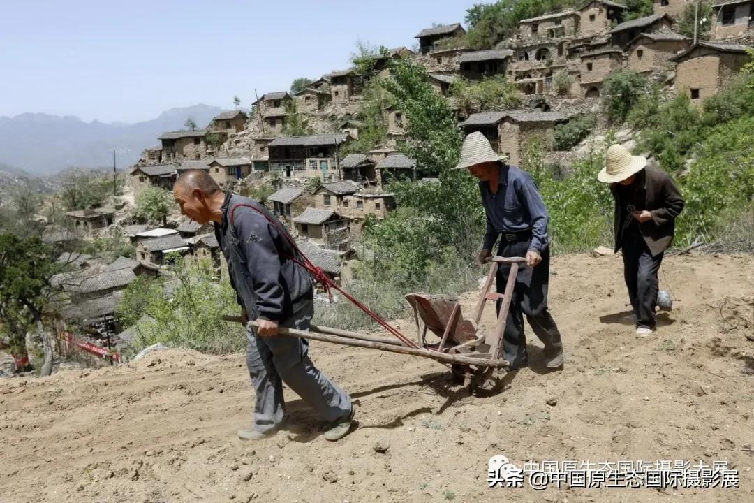 云观展公共文化展,大汖村