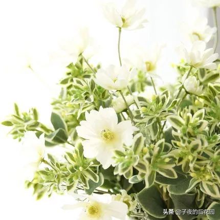 花店常用的配花配草有哪些方法,常见配花配草