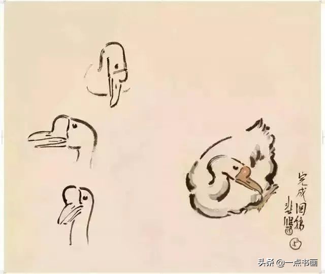 图文教程鹅的写意画法,鹅的简单画法教程