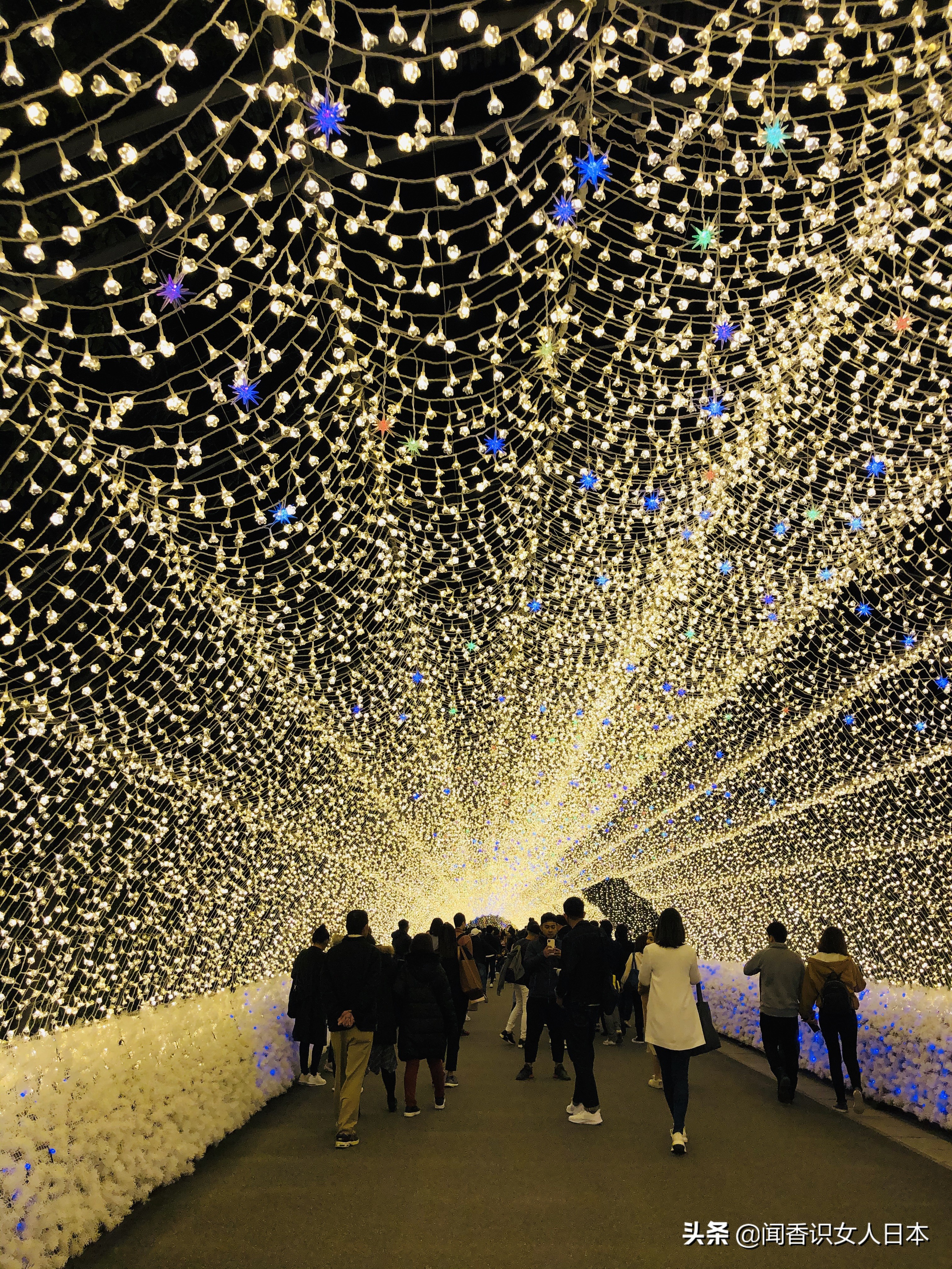 日本最美夜景,日本最美水上光影隧道