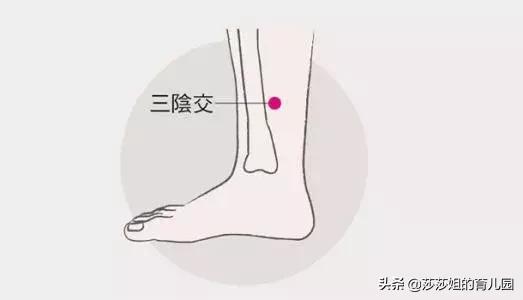 五脏养生的四季规律,五脏与体质养生